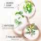 Rice Mask Skin Care Product